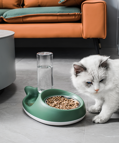Bộ cho mèo ăn và nước uống tự động trong bộ