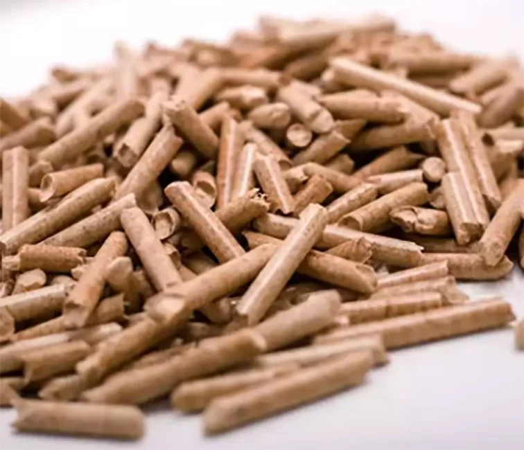 Quy trình sản xuất cát vệ sinh cho mèo bằng bột gỗ thông tự nhiên